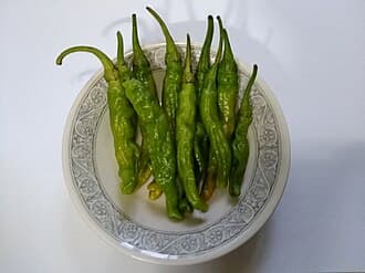 Shishito Pepper