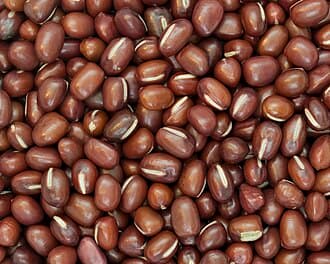 Adzuki Bean