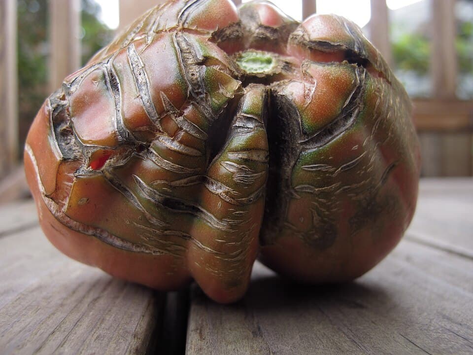Cracking & Splitting