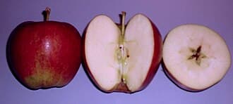 Braeburn Apple