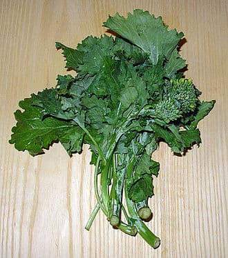 Broccoli Rabe
