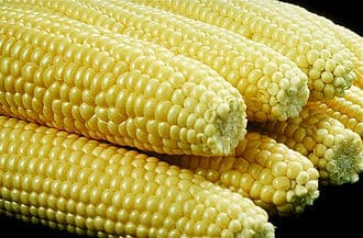 Ambrosia Corn