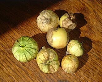 Toma Verde Tomatillo