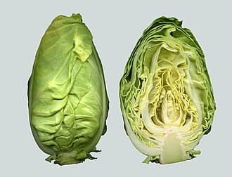 Sweetheart Cabbage