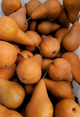Bosc Pear